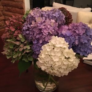 Meet your Posher, Chrissie